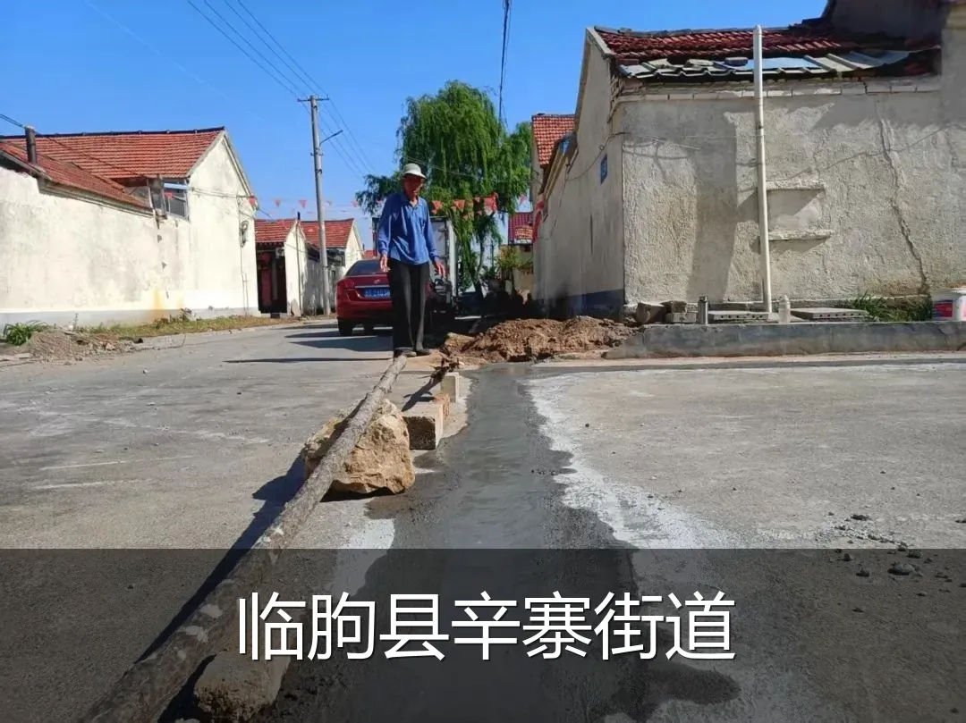 临朐县辛寨街道